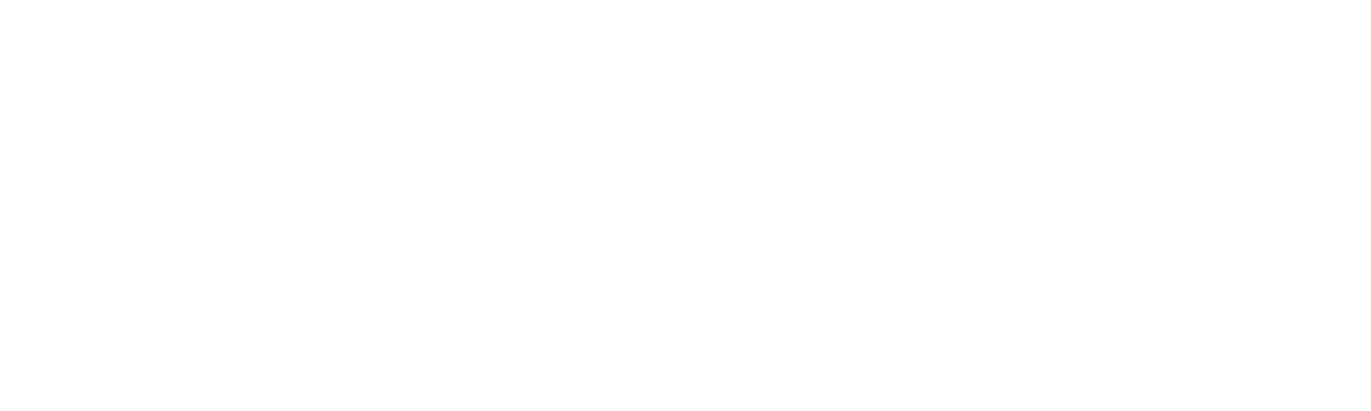 Torba Logo