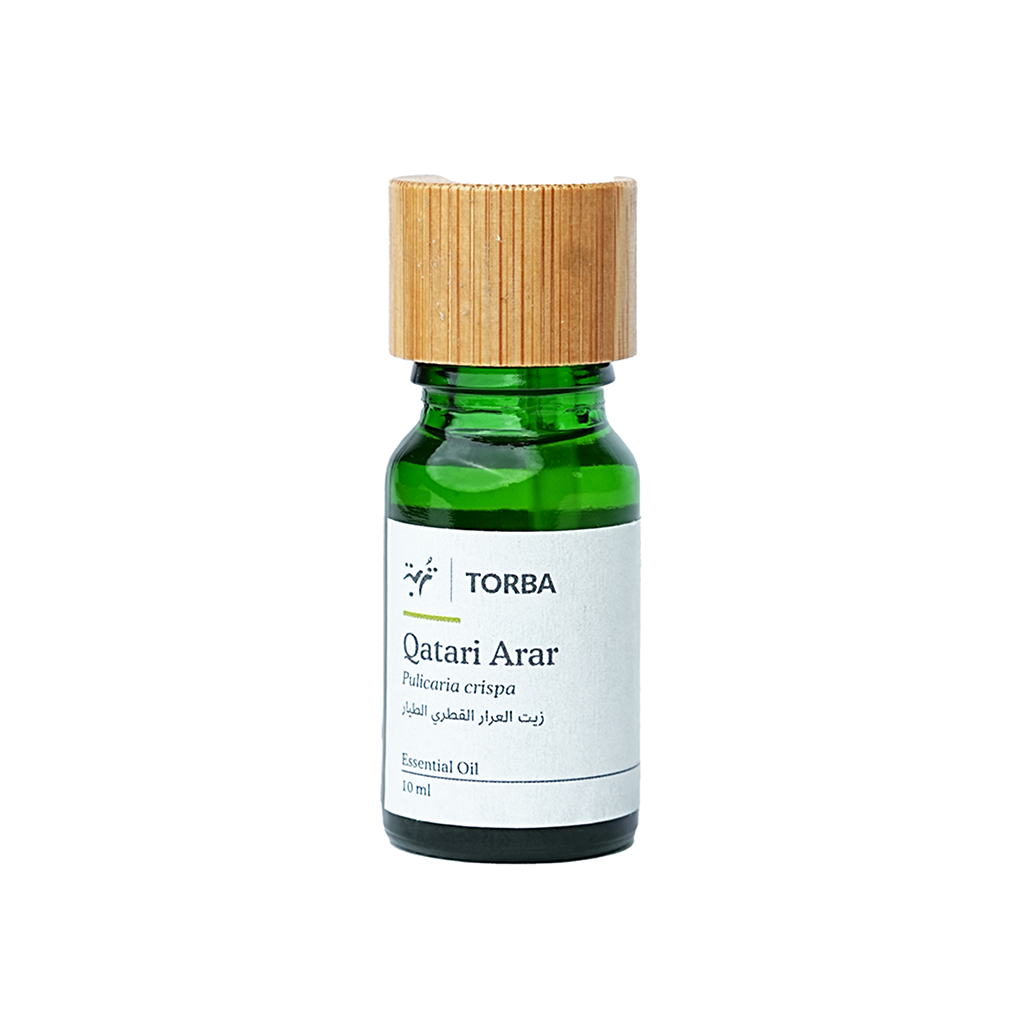 Arar Essential Oil 10ml, زيت العرار الطيار