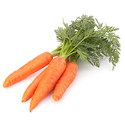 Organic Fresh Carrot ,جزر محلي طازج