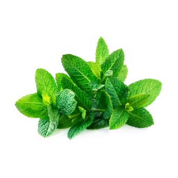 [All09972] Organic Mint leaves ,أوراق النعناع العضوية