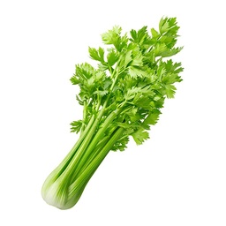 Organic Celery Herb ,عشب الكرفس العضوي