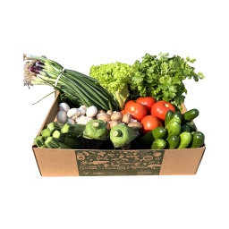 [TFM957] Essential Veggie Box  ,صندوق الخضار الأساسي