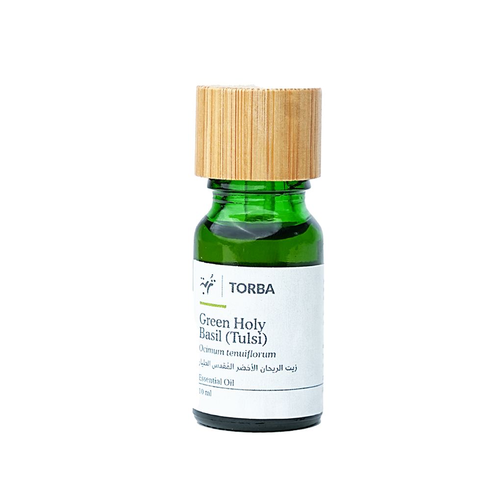 Green Holy Basil Tulsi Essential Oil 10ml, زيت الريحان الأخضر المُقدس الطيار