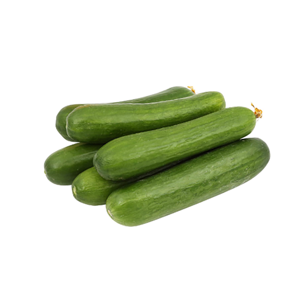 Organic Cucumber ,خيار عضوي
