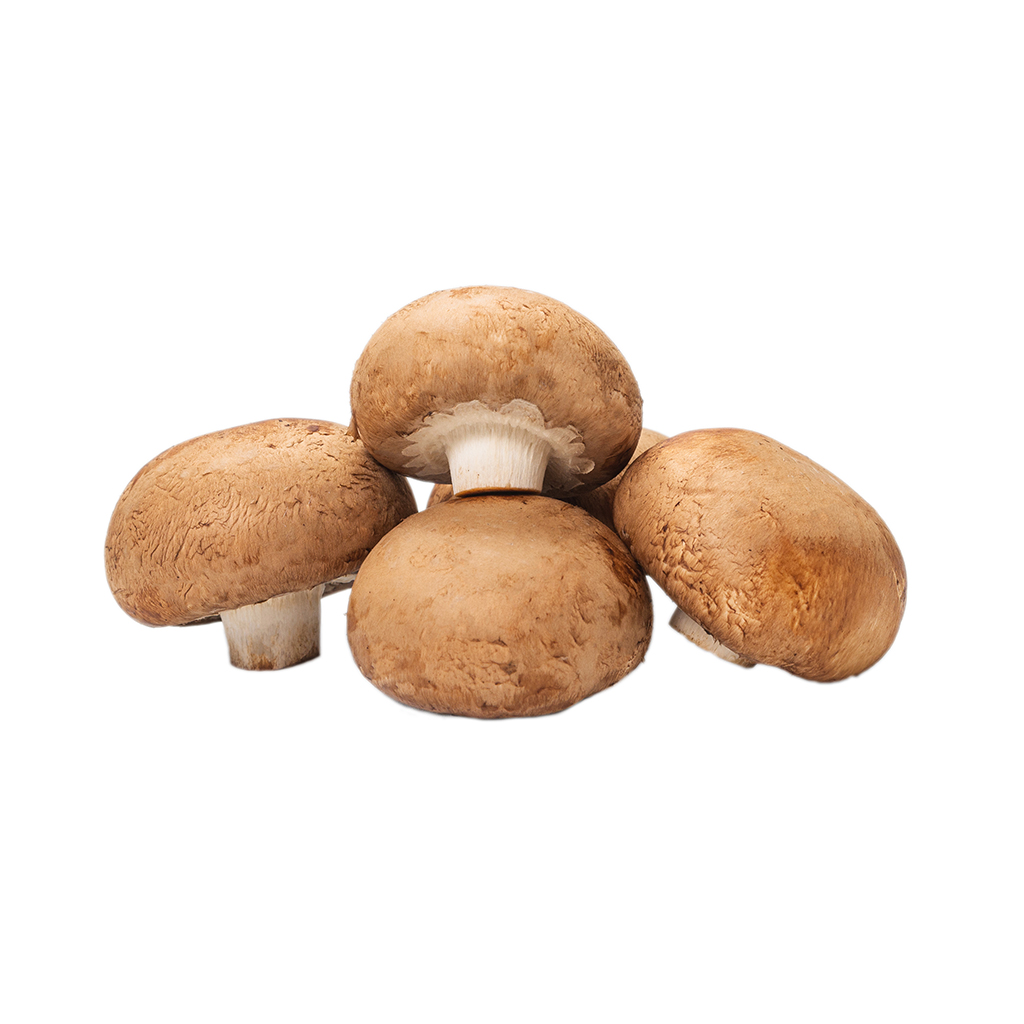Organic Brown Mushrooms , مشروم بني عضوي