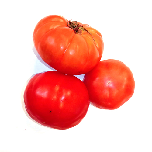 Spanish Tomatoes ,طماطم اسبانية محلية