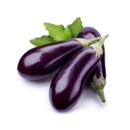 [FRU08924] Eggplant ,باذنجان محلي