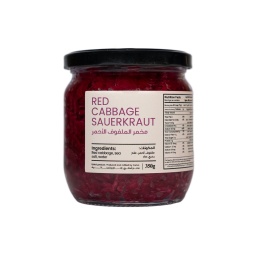 [Pic12287] Red Cabbage Sauerkraut ,مخلل الملفوف ملفوف أحمر