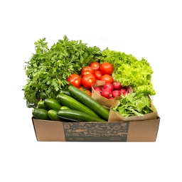 [VEG09251] Salad Box ,صندوق خضار السلطة